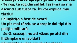 Bancul de duminică seara | "O călugăriţă de apropie gâfâind de un soldat"