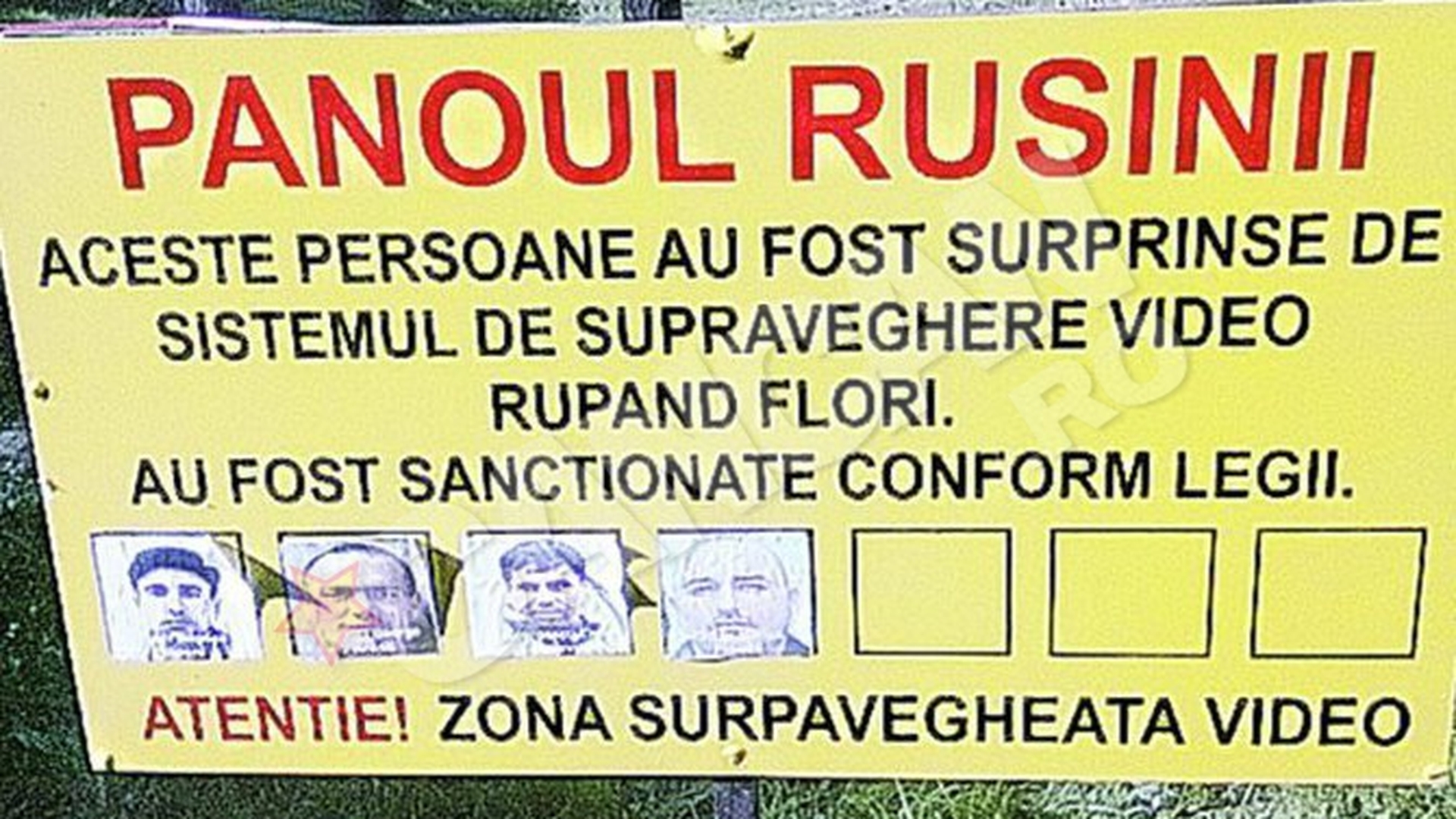 Hotii de flori au aparut pe "Panoul Rusinii"