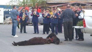 Se intampla in Romania! Imagini socante! A strans lumea ca la urs! A impuscat doua animale, iar apoi a chemat fanfara!