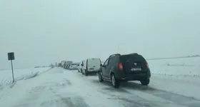 Galerie foto - poza 2