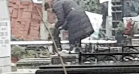 Galerie foto - poza 4