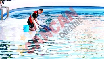 Le aduc peste de la 2.000 de kilometri