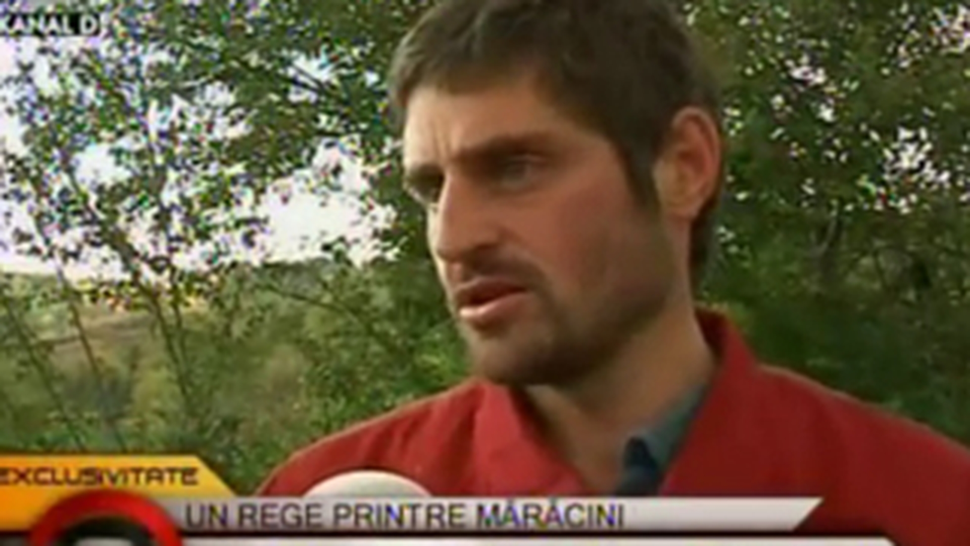 VIDEO Cel mai amuzant taran de pe net loveste din nou! "Ma certam cu cainii ca imi furau painea"
