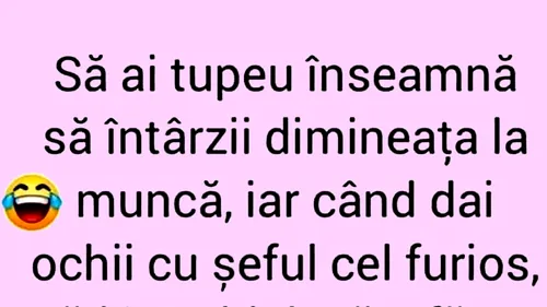 BANCUL ZILEI | Culmea tupeului la muncă