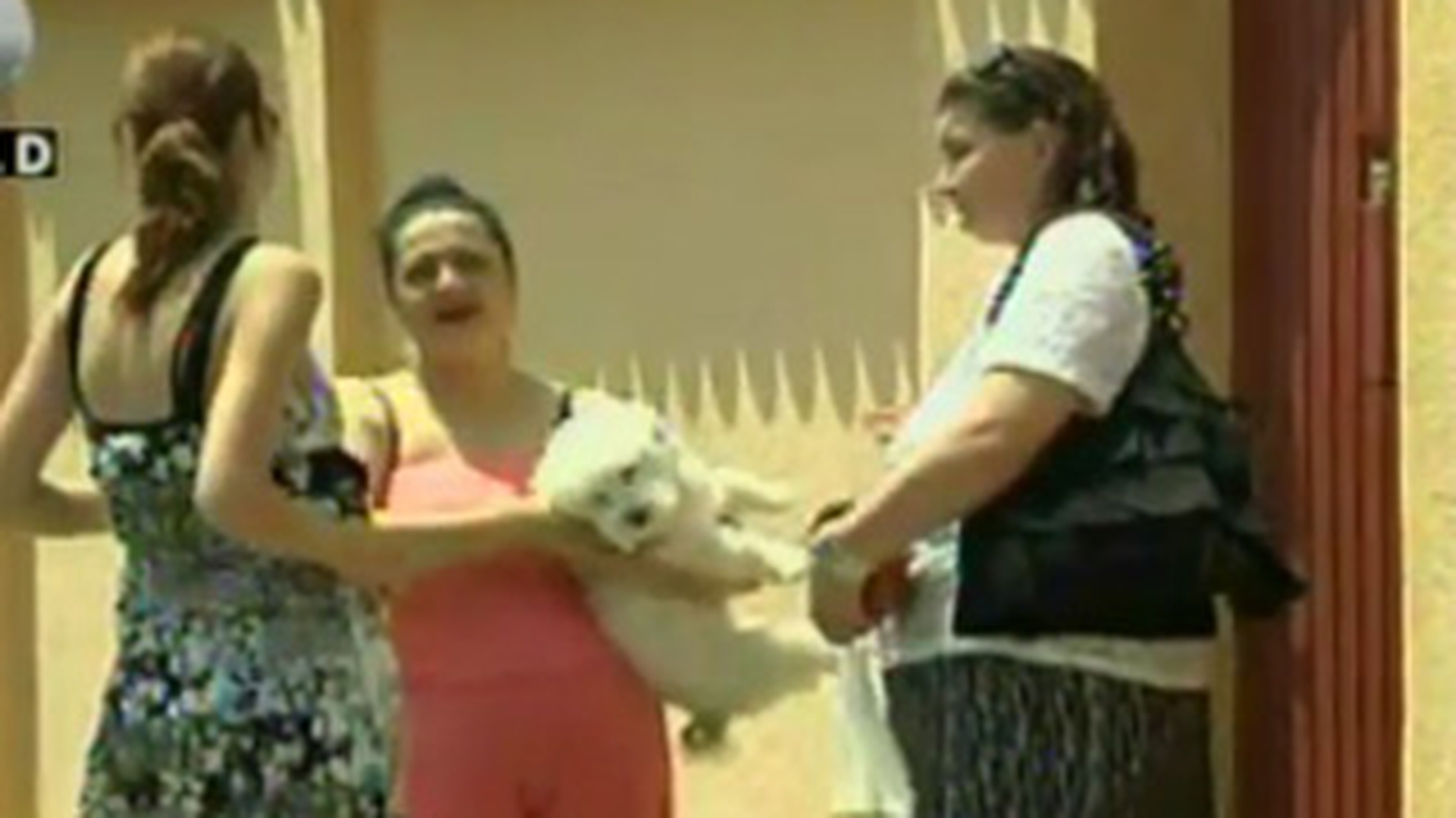 VIDEO "Taranca" din cauza careia a picat BAC-ul fiul Catangai e gravida: "Unde v-ati f...t? Pleaca, fa, de aici! Baiatul meu are altfel de ocupatii"