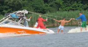 Galerie foto - poza 3