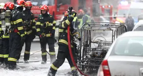 Galerie foto - poza 4