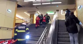 Galerie foto - poza 2