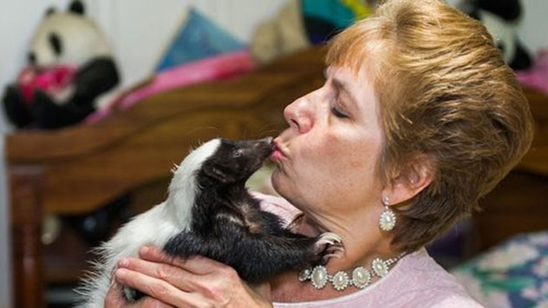Abia poti sta lângă unul, dar ea trăieste cu 50 in casă! Ce animale de companie si-a luat acesta femeie! Vecinii sunt SOCATI