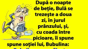 BANC | Bulă, după o noapte de beție: "Bubulino, hai că nu am fost chiar așa de beat!"