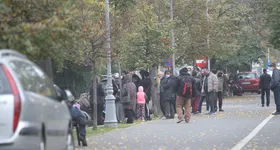 Galerie foto - poza 2