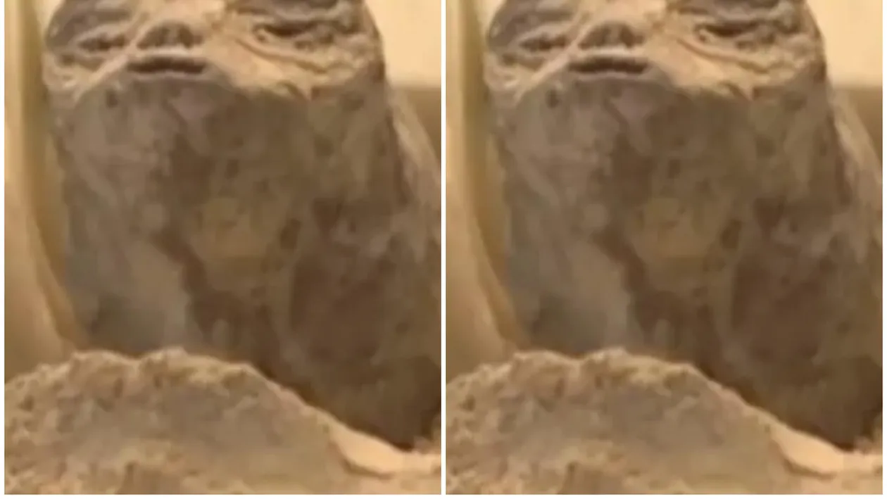 NASA ezită în fața celor două cadavre ”non-umane” din Mexic! Oficialii au oferit răspunsuri evazive: „Nu pot vorbi”