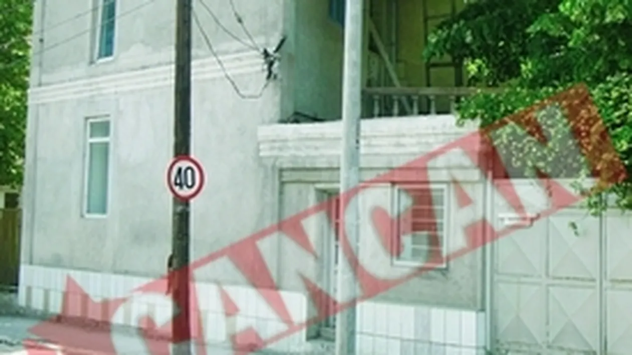 Ai partid, ai subventie de la Guvern