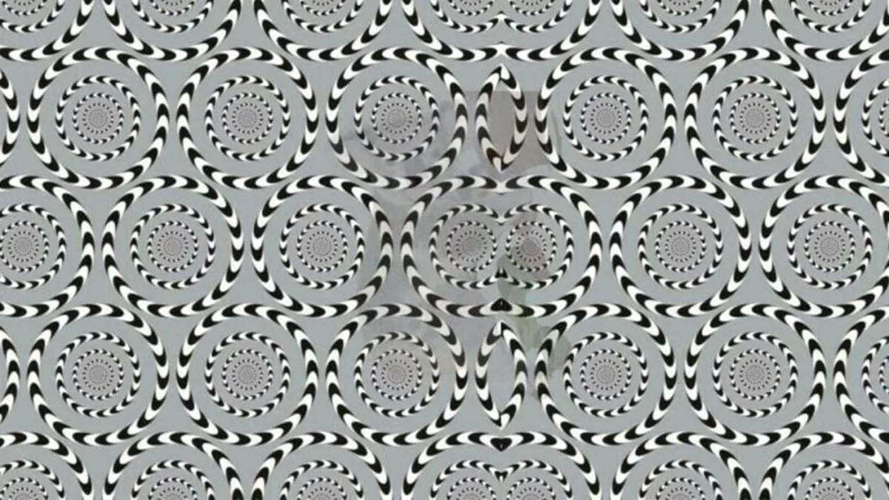 Test de inteligență | Ești un mega-geniu dacă poți numi animalul ascuns în această iluzie optică, în maximum 25 de secunde