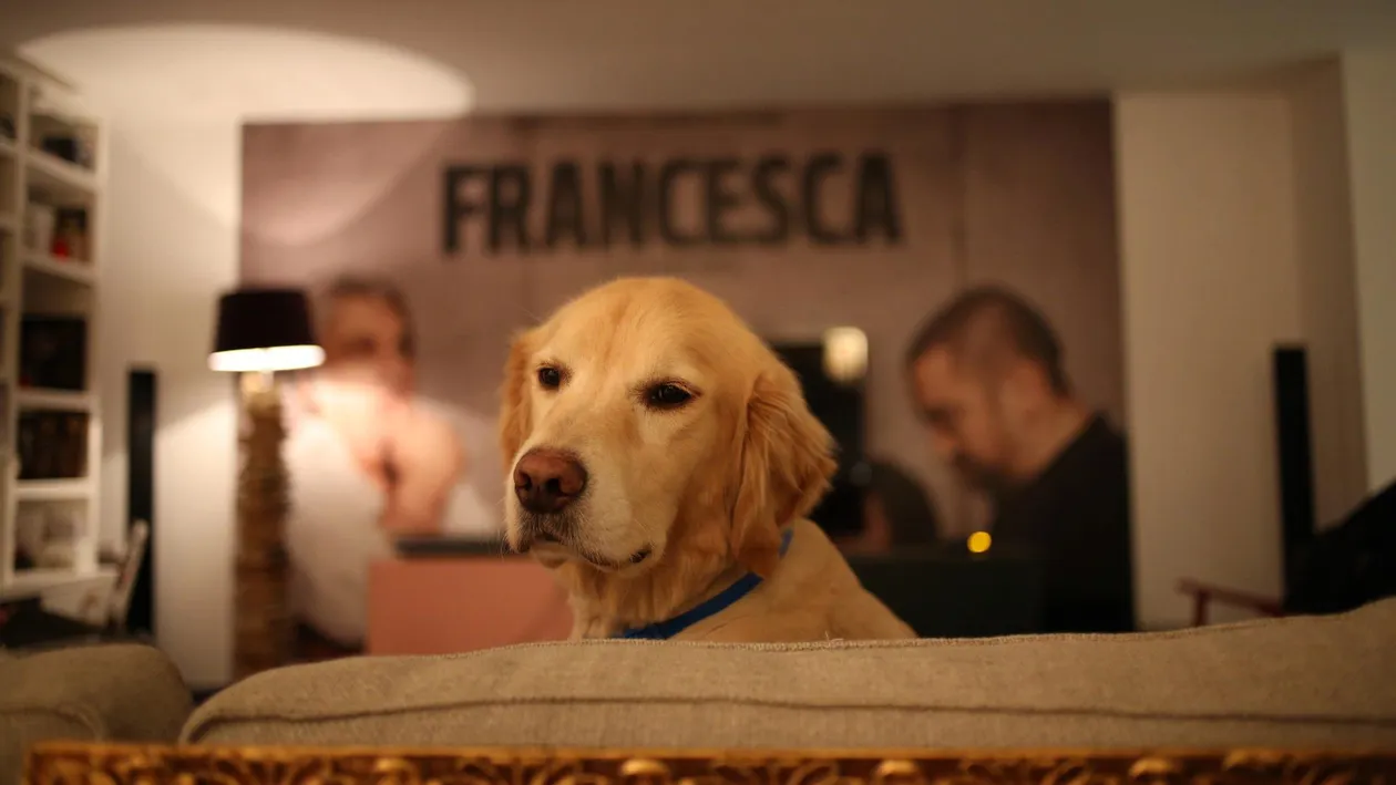 Primele imagini din casa lui Bobby Păunescu din West Hollywood Hills! Un afiş al filmului “Francesca” ocupă un perete!