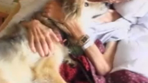 VIDEO Ultima dorinta a unui om pe patul de moarte: sa-si vada cainele credincios!