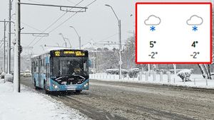 Vin ninsorile în București. În care alte orașe va ninge, potrivit meteorologilor Accuweather