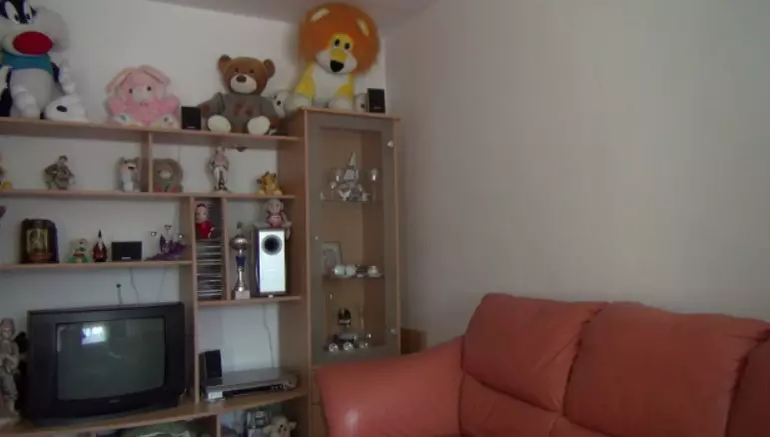 Cum arată casa din Teleorman în care a copilărit Gina Pistol. Și-a petrecut primii ani într-o gospodărie modestă