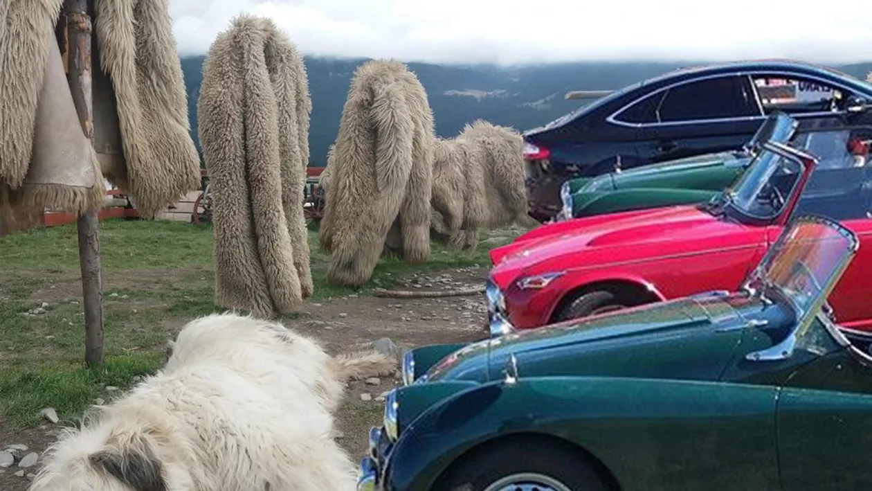 Povestea ciobanilor care și-au transformat stâna în popas turistic