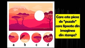 Test de logică | Care este piesa de "puzzle" care lipsește din imaginea alăturată?