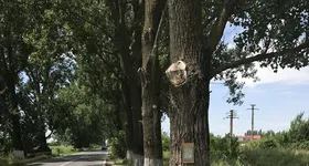 Galerie foto - poza 3