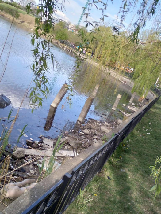Parcul Pantelimon, înconjurat de gunoaie (Foto: Facebook-ești din sectorul 2)