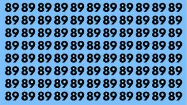 Test de inteligență | Nu toate numerele din imagine sunt 89. Găsește-l pe cei diferit!