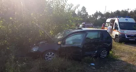 Galerie foto - poza 3