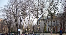 Galerie foto - poza 2