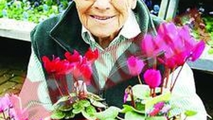 Sefa la 100 de ani