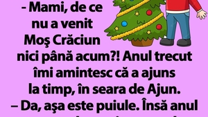 BANC | În a doua zi de Crăciun, Bulă e nerăbdător: "Mami, de ce nu a venit Moş Crăciun nici până acum?!"