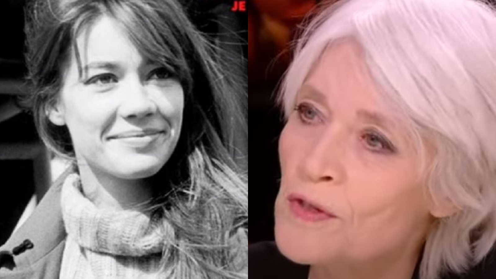 Françoise Hardy a murit după o luptă grea cu o boală nemiloasă