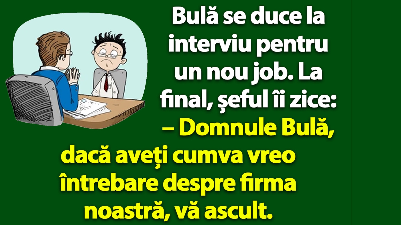 BANC | Bulă se duce la interviu pentru un nou job