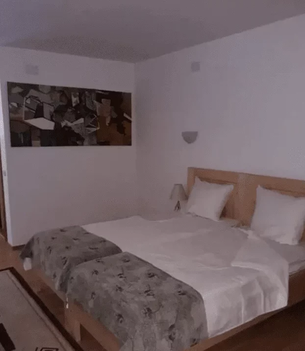Cum arată pensiunea Monicăi Anghel de la munte? Conacul are 8 camere și te poți caza în el