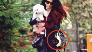 Adelina s-a chinuit sa-i care la veterinar