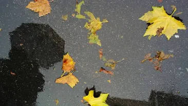 Vremea ne face o surpriză plăcută săptămâna viitoare! Află ce temperaturi vor fi in următoarele 7 zile