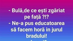 BANC | "Bulă, de ce ești zgâriat pe față?"