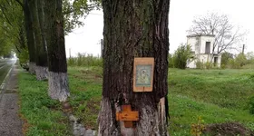 Galerie foto - poza 4