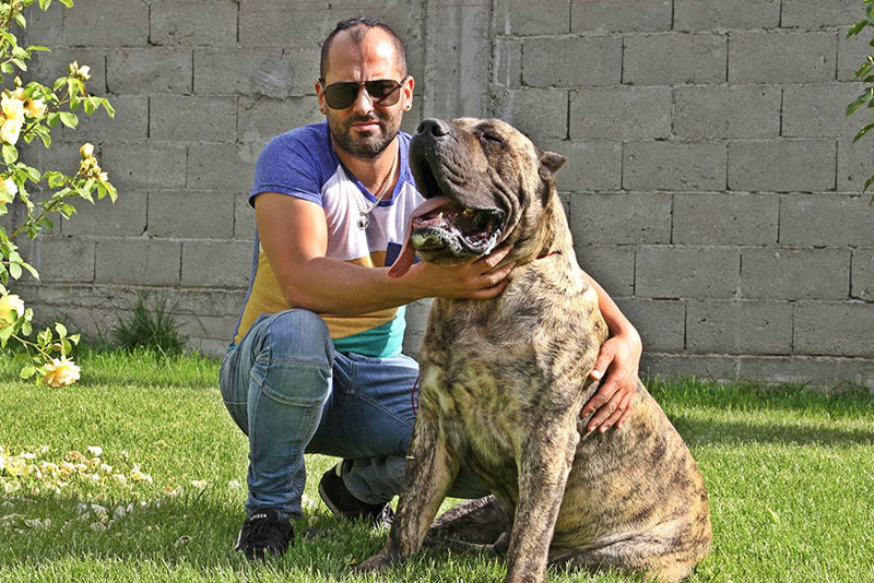 Sharky, cel supranumit "regele filmelor pentru adulți"