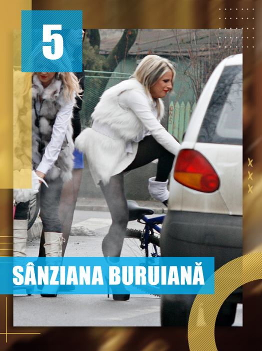 Cel mai disputat TOP prezentat de CANCAN.RO: Inna, Oana Zăvoranu, Marina Dina… Au dat cu fundulețul de pământ!