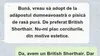BANC | „Vreau să adopt de la adăpostul dumneavoastră o pisică de rasă pură”