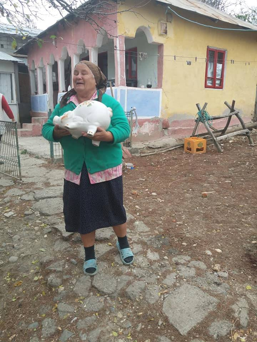 Echipele anti-pestă n-au mai găsit nici urmă de porc în Dolj: ”Au zburat, maică!”