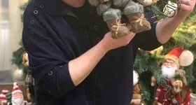 Galerie foto - poza 3