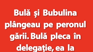 BANC | Bulă și Bubulina plângeau pe peronul gării