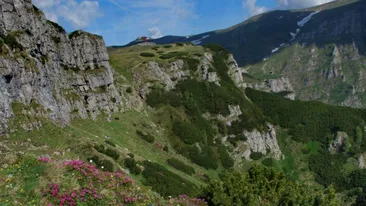 O familie cu doi copii, recuperată de jandarmii montani de pe traseul Jepii Mari