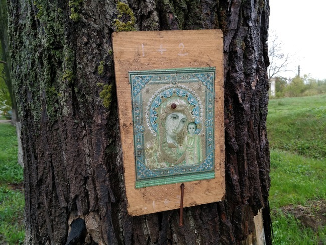 Ce a apărut la locul unde a murit Dan Condrea! Mesaje oculte şi obiecte religioase asezate pe copac