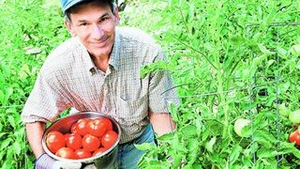 Cum iti poti gasi un job in alta tara