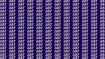 Iluzie optică | Doar cei cu ochi de vultur descoperă numărul 337 în 12 secunde