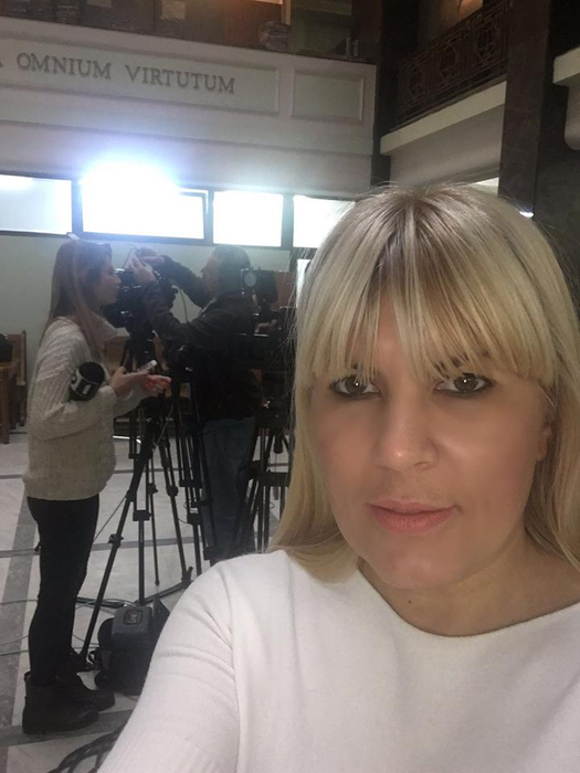 Lasă politica pentru lumea filmului?! Elena Udrea, ofertată ca să apară într-un serial