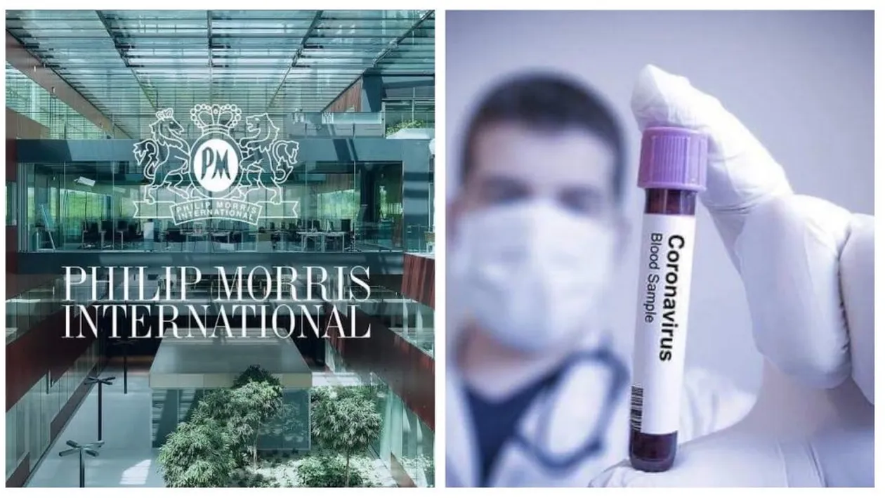 Vaccin anti-COVID pe bază de plante înrudite cu tutunul